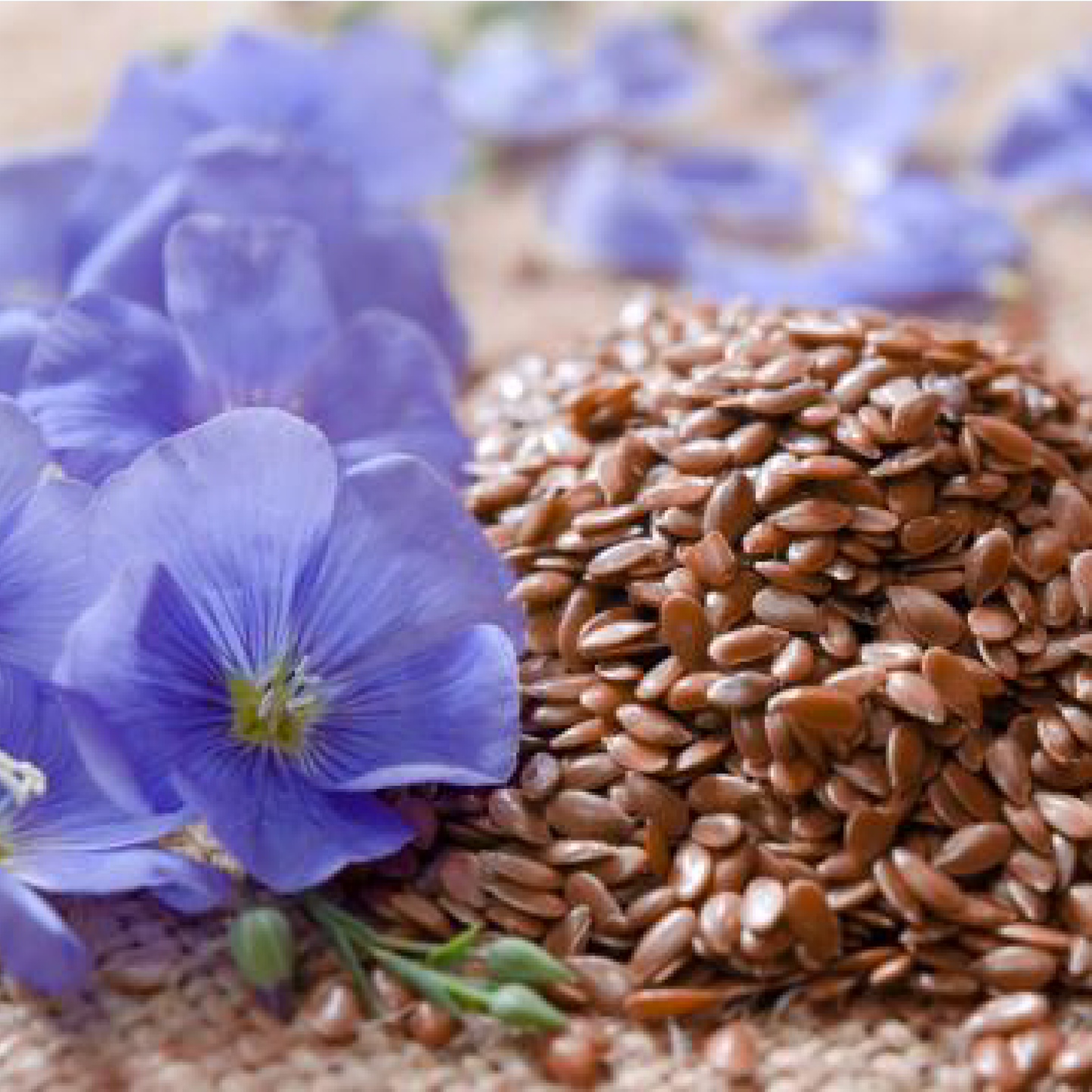 Whole Organic Linseed